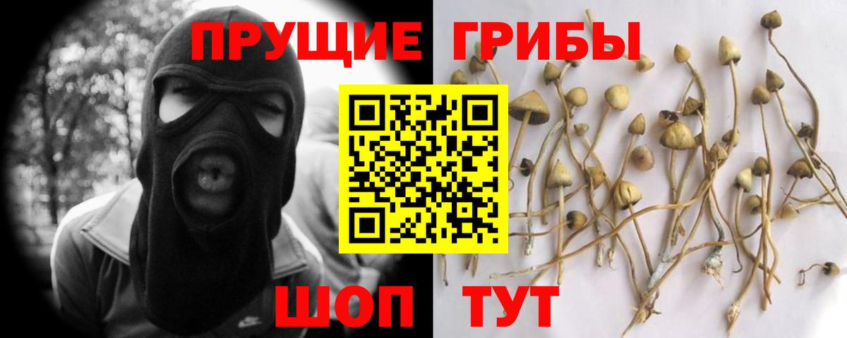 Псилоцибиновые грибы Cubensis  Вход с VPN  Псилоцибиновые грибы мицелий  Клин 